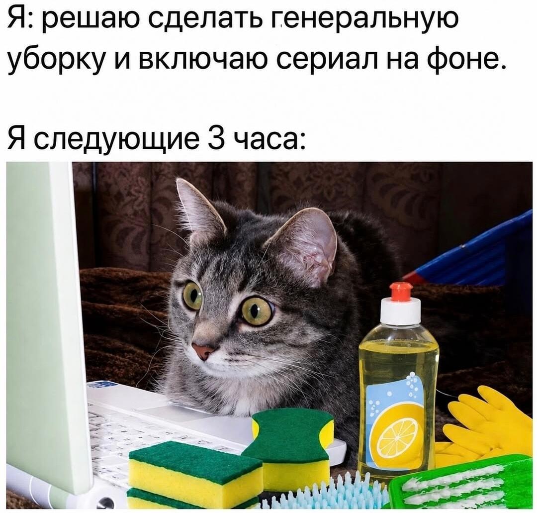 Уборка? Не, сериал сам себя не посмотрит! Жиза.