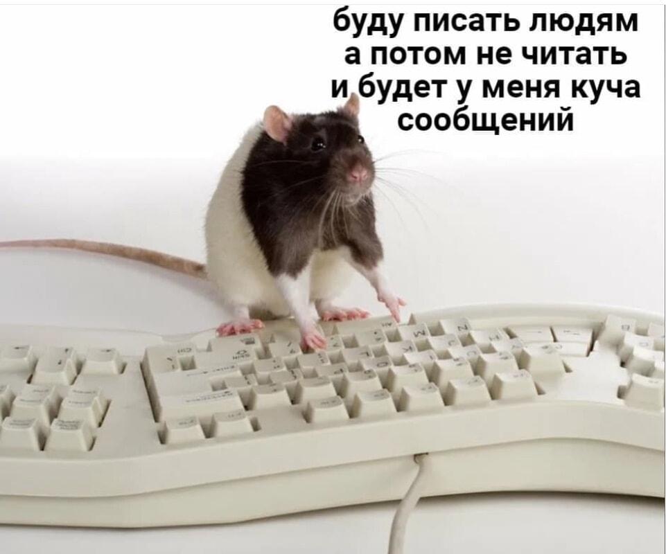 Гениальный план: много сообщений, но ни одного прочитанного!