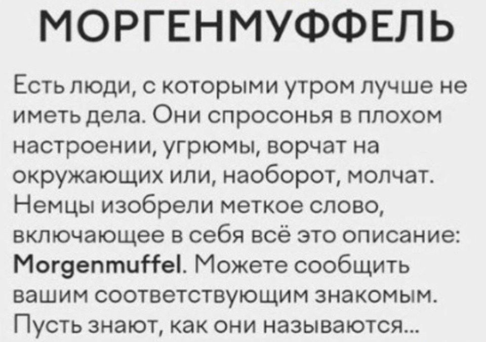 Моргенмуффель: узнай, кто ты по утрам! 😂
