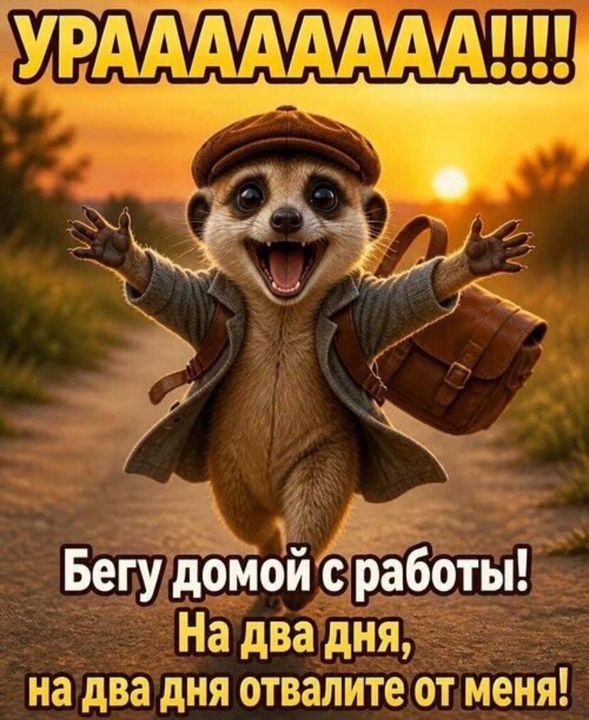 Урааа! Бегу домой с работы: отвалите от меня на два дня!