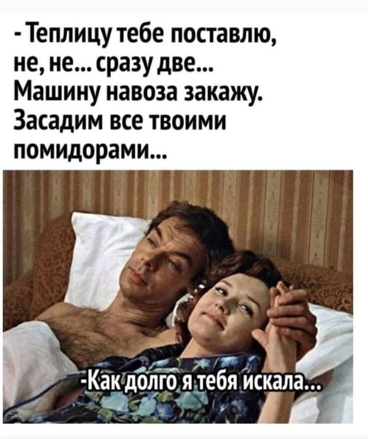 Наконец-то нашла того, кто засадит мои помидоры!