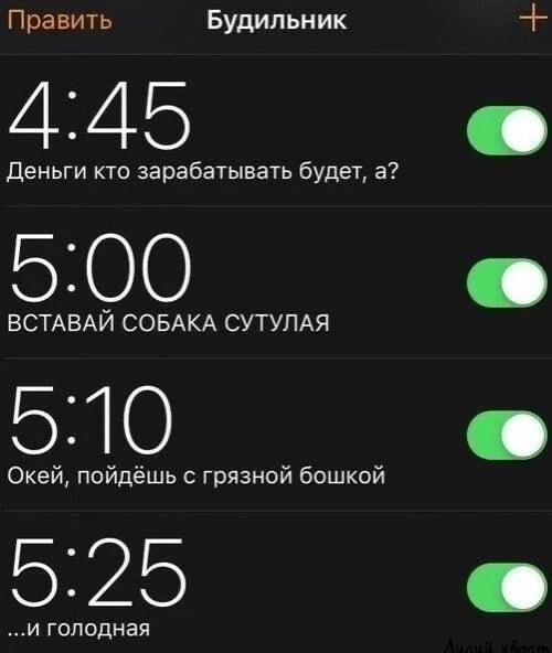 Мой будильник: от нежности до угроз за полчаса