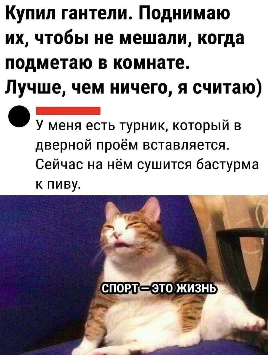 Спорт — это жизнь: гантели для уборки и турник для бастурмы!