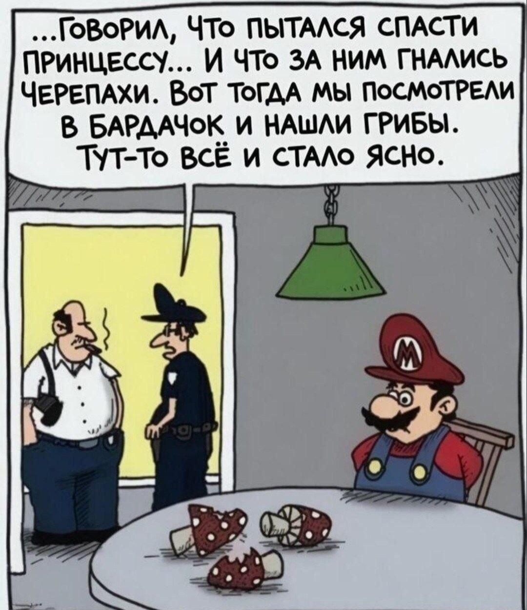 Грибы Марио: принцесса, черепахи и полиция! Всё стало ясно