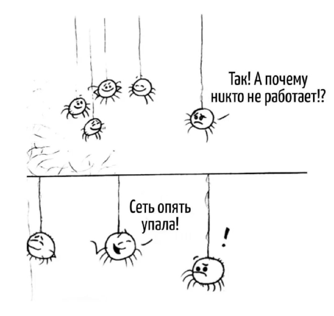 Босс спрашивает, почему никто не работает? Сеть опять упала!