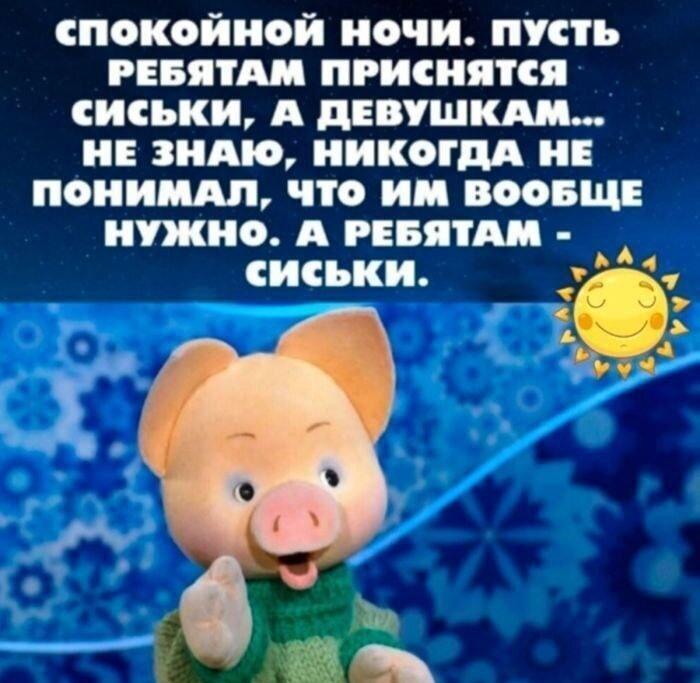 О чем мечтают парни перед сном? Свинка всё знает, девушки в пролёте!