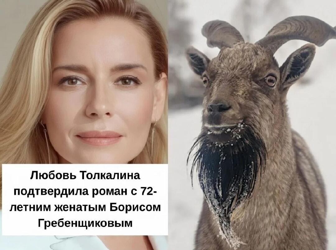 Любовь Толкалина и Гребенщиков: козел в шоке от новости!