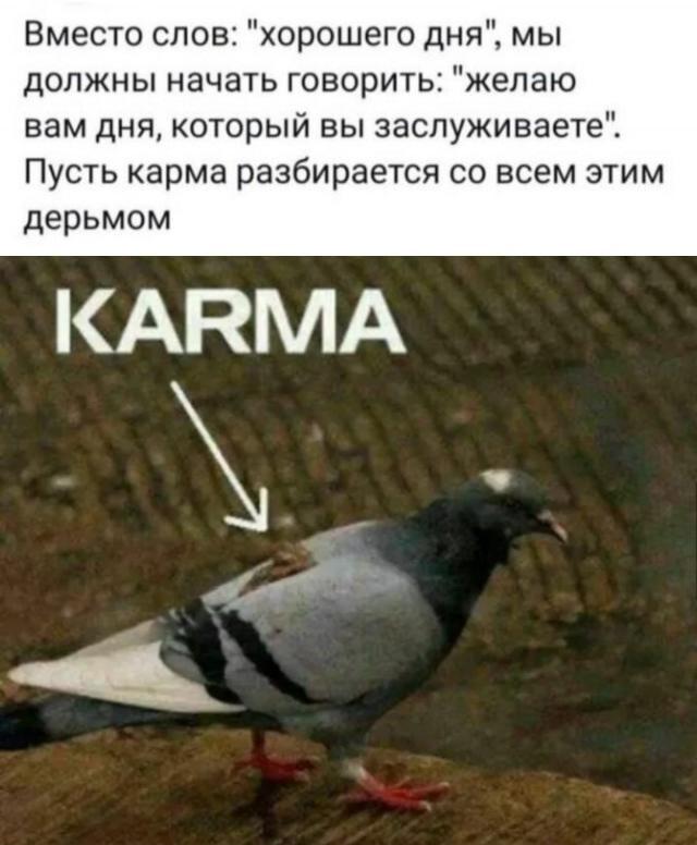 Желаю дня, который вы заслуживаете: карма всегда найдет!
