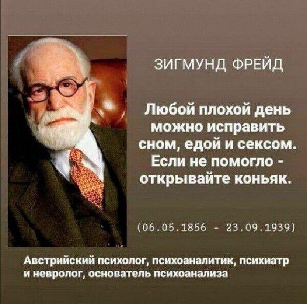 Фрейд знал: сон, еда, секс и коньяк спасут твой день!