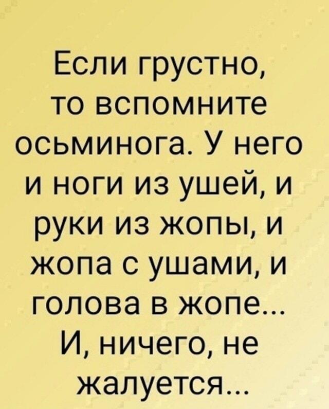 Жизнь полная Ж: как осьминог учит не сдаваться!