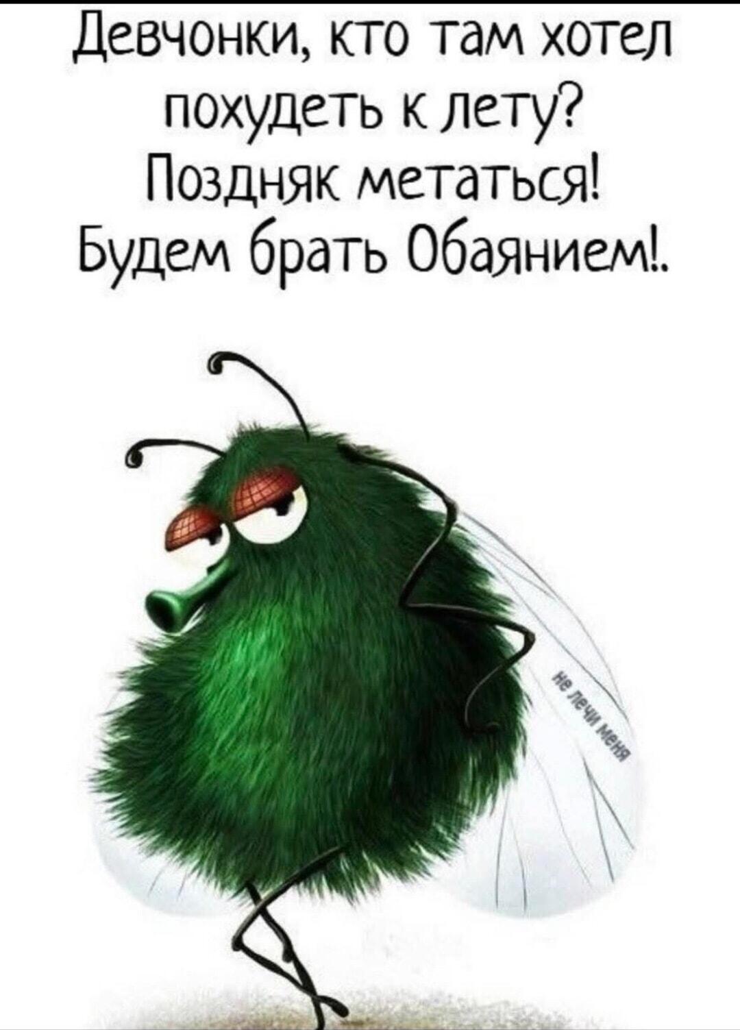 Лето на носу? Похудеть не успели? Включаем обаяние!