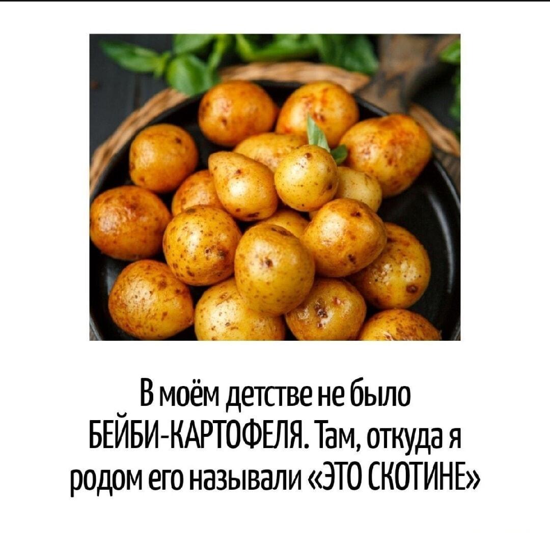 Бейби-картошка? В нашем детстве это называли 