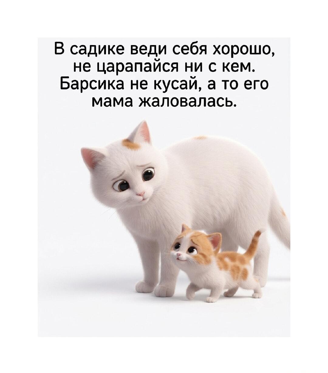 Когда мама провожает в садик: «Барсика не кусай!»