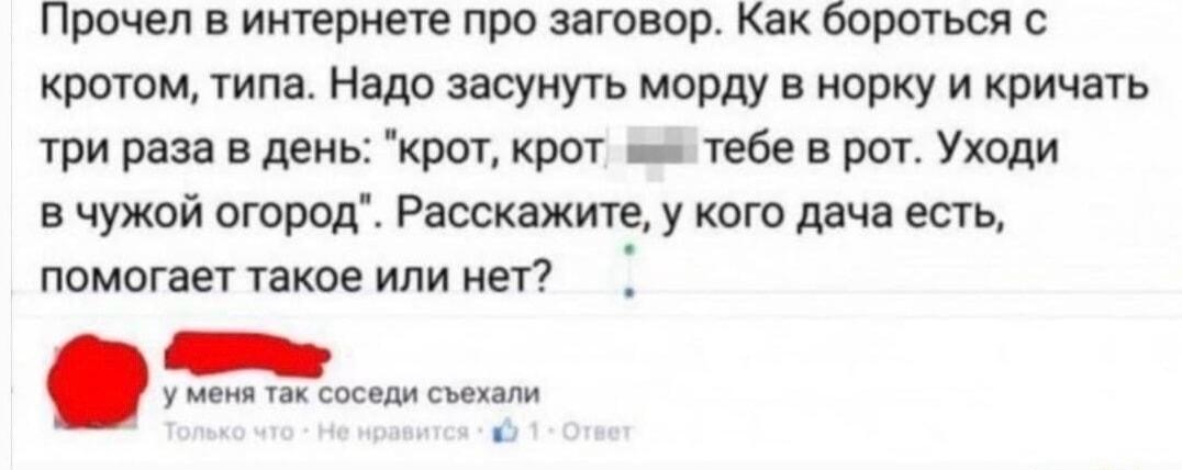 Как прогнать крота с огорода? Соседи съехали, метод рабочий!
