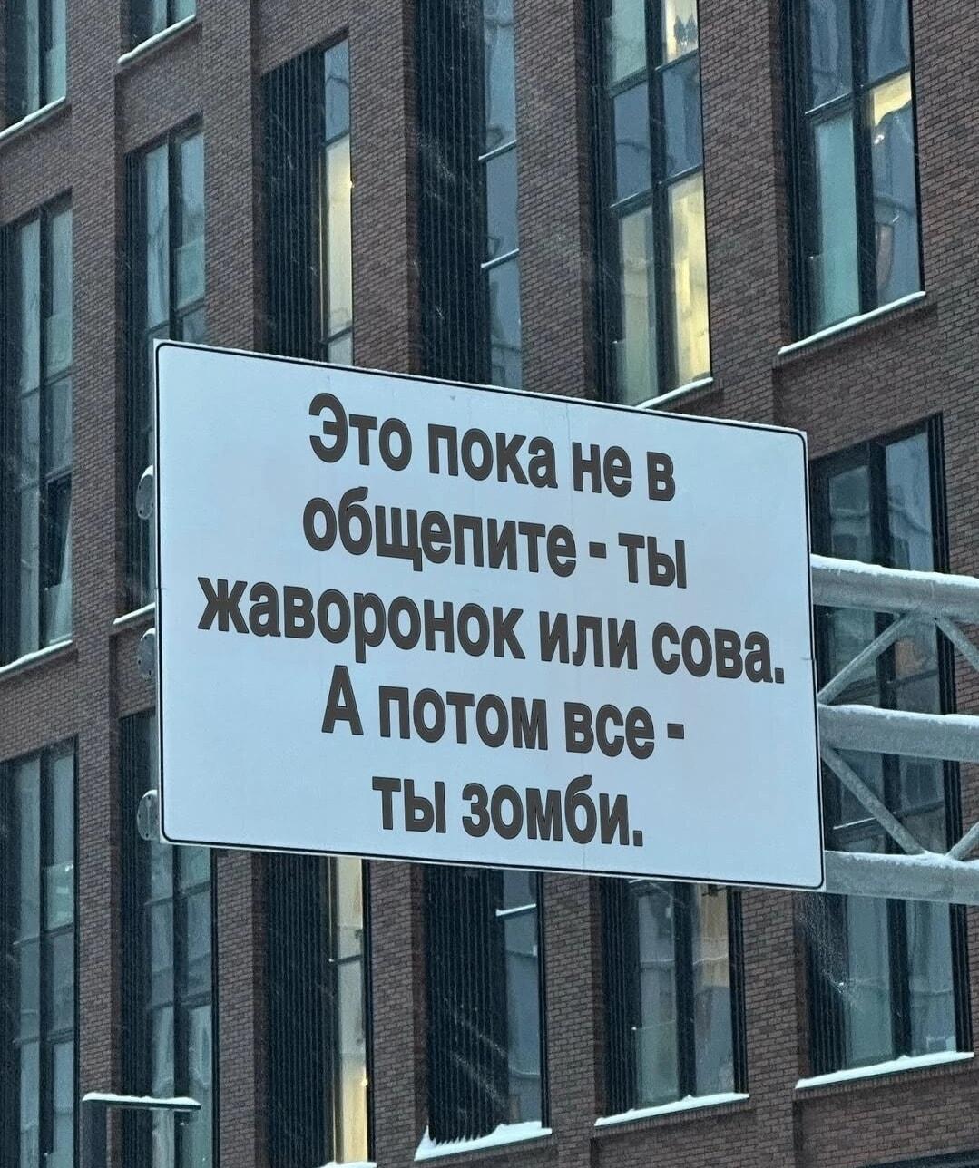 До работы ты жаворонок, на работе — зомби! 🧟