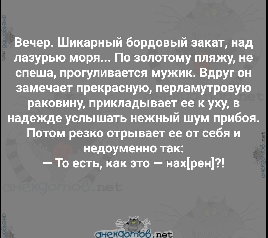 Приложил раковину к уху – и офигел: что там вместо моря?