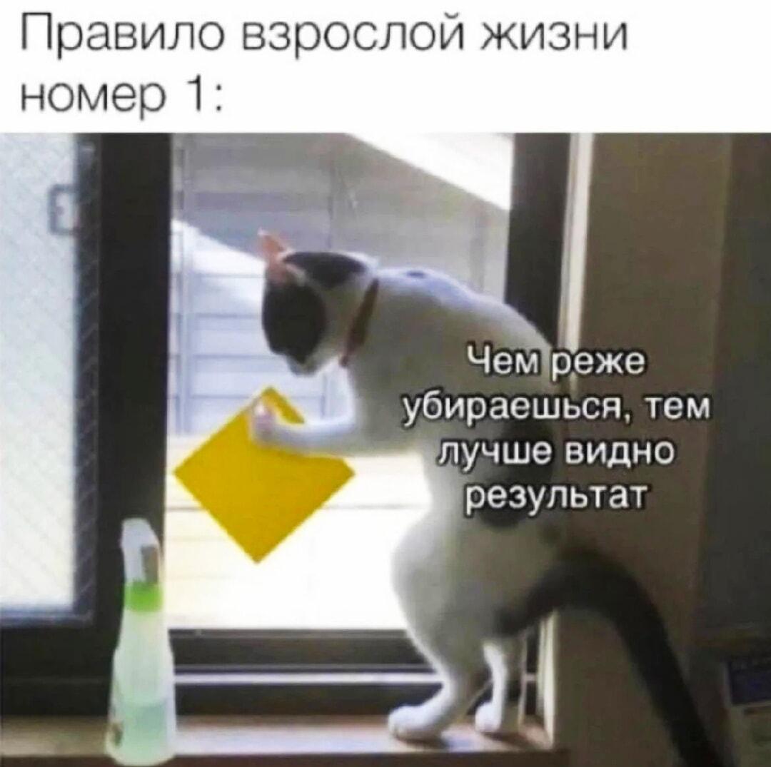 Главное правило взрослой жизни: уборка и видимый результат!