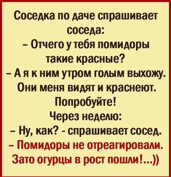 Голый садовод и хитрый план для помидоров. Что пошло не так?