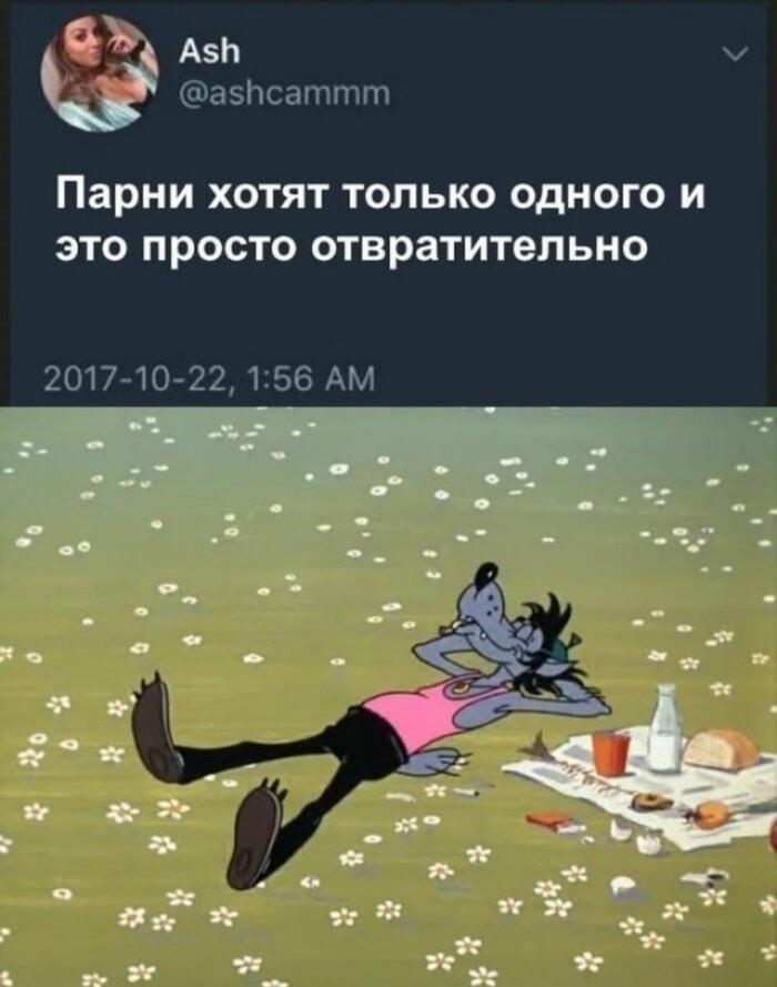 Парни хотят только одного: покой и пикник как у Волка!