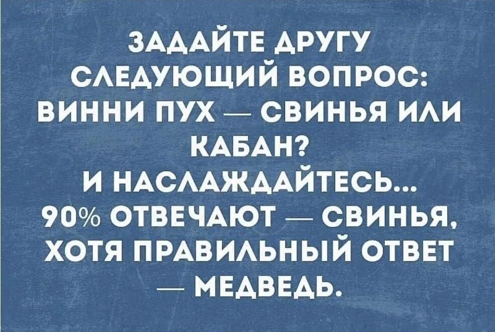 Загадка про Винни-Пуха: проверь своих друзей на логику!